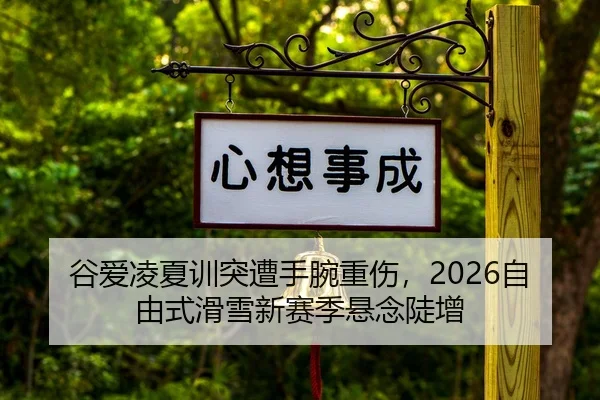 gu-ai-ling-xia-xun-tu-zao-shou-wan-zhong-shang-zi-you-shi-hua-xue-xin-sai-ji-xuan-nian-dou-zeng-2-498.jpg